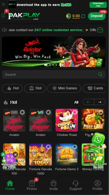 PAKPLAY Game